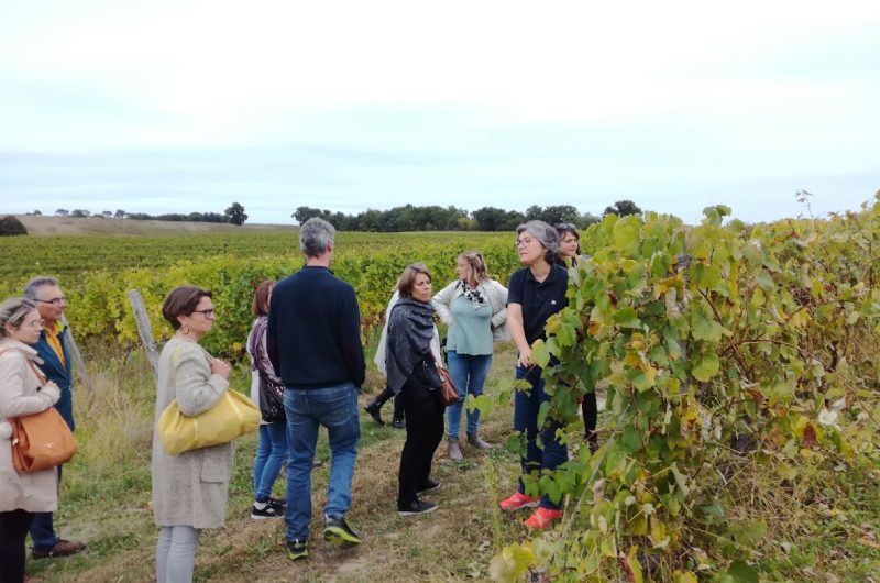 2021-HONT-Domaine de Laubesse – Visite groupe-©OT Landes d’Armagnac -DDéjean (2)