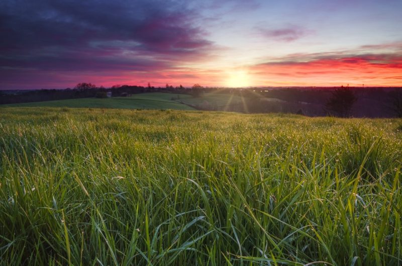 20210216_com_photo_circuit_chalosse_paysage_de_chalosse_c_lrc_photographie_1600x2000