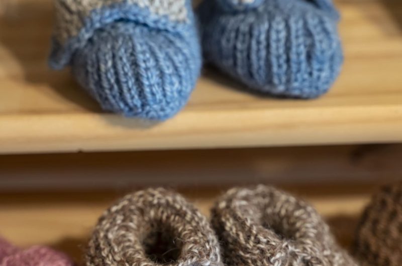 2022 – BOUR – Ferme Le Hillot – ©Midi Prod (4)