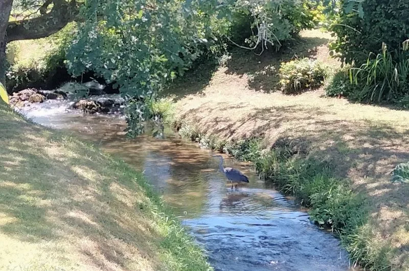 2022_EYR_Moulin 003©M. Guerrero