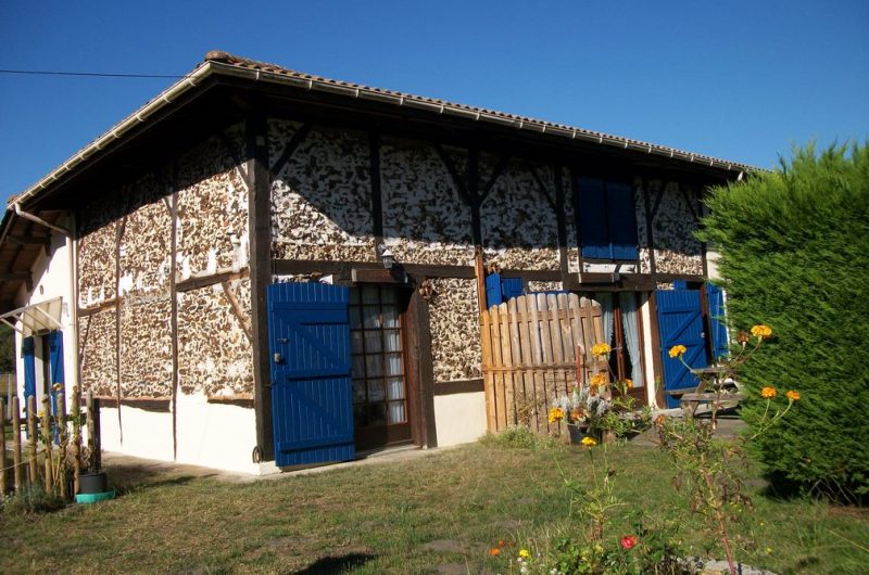 2023_cugnet_ecureuil (1) (Copier)