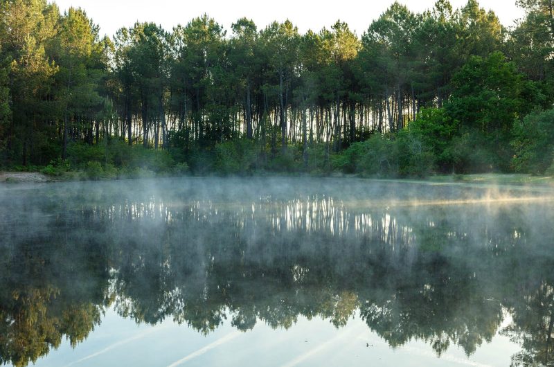 2024 – ARUE – Lagunes de Nabias – ©Arnaud Späni (30)