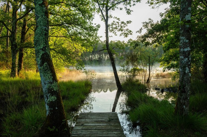 2024 – ARUE – Lagunes de Nabias – ©Arnaud Späni (41)