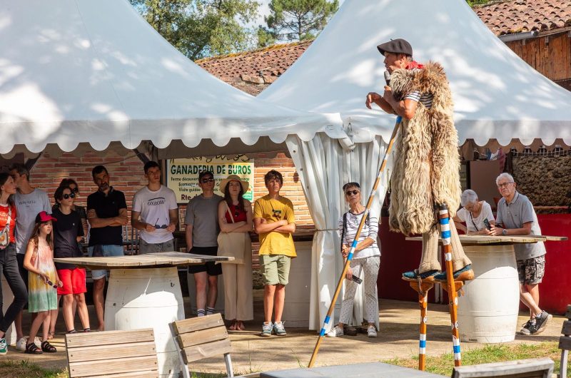 2024 – ESCA – Ganaderia de Buros – ©Arnaud Späni (19)