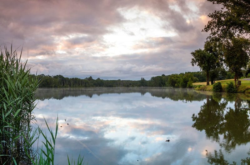 2024 – HONT – Etang d’Hontanx – ©Arnaud Späni (1)