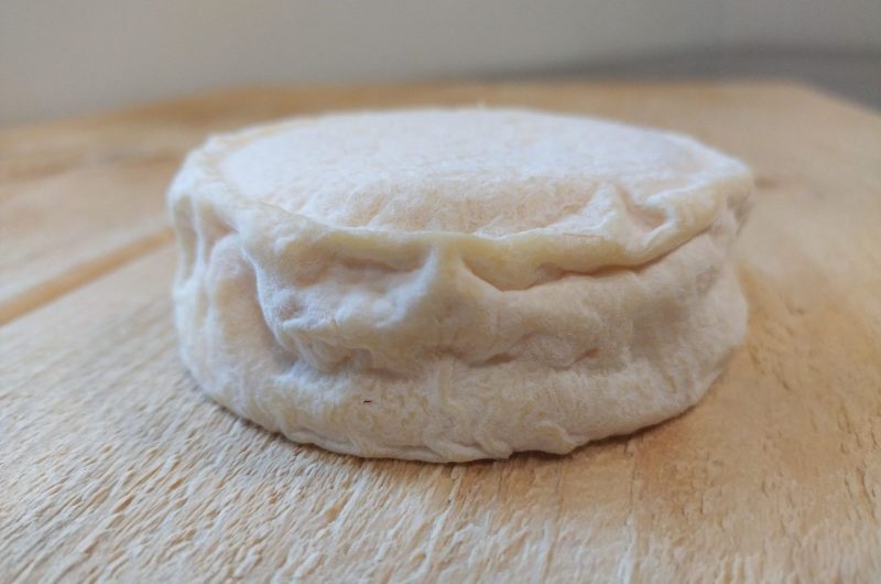 2024 – MAIL – Bergerie de Maillas – Fromage le coulant – ©Marion POUTAYS