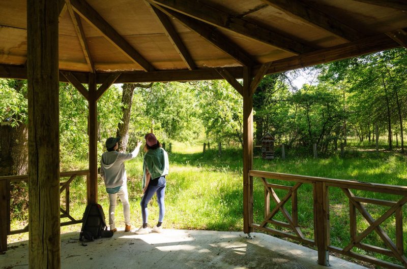 2024 – VIEL – Arboretum de Vielle-Soubiran – ©Arnaud Späni (2)