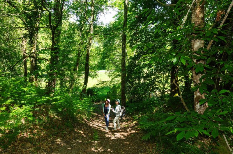 2024 – VIEL – Arboretum de Vielle-Soubiran – ©Arnaud Späni (8)