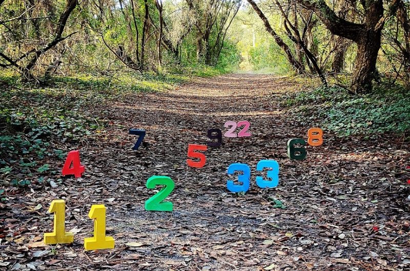 2024_CRI_Mariposa Bien-être010©Coralie Alonso