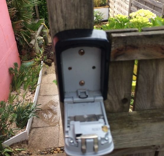 2024_amion_ocane_6 (Copier)