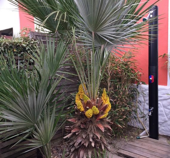 2024_brise_de_mer_amion6 (Copier)