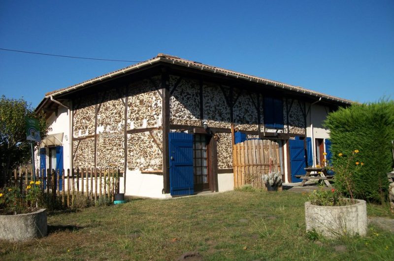 2024_cugnet_ecureuil (2) (Copier)