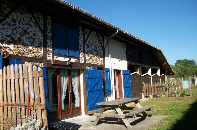 2024_cugnet_hirondelle_site (Copier)