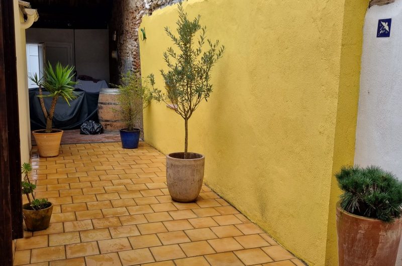 2025 – GABA – Lou Carrerot – Cour intérieur – ©Vincent DESMOND (13)