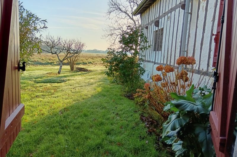 2025 – PARL – Le four à pain – Jardin – ©Monique PELAT (1)