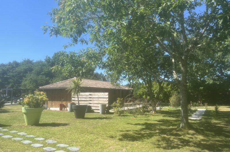 2025_maubourguet_patrick2 (Copier)