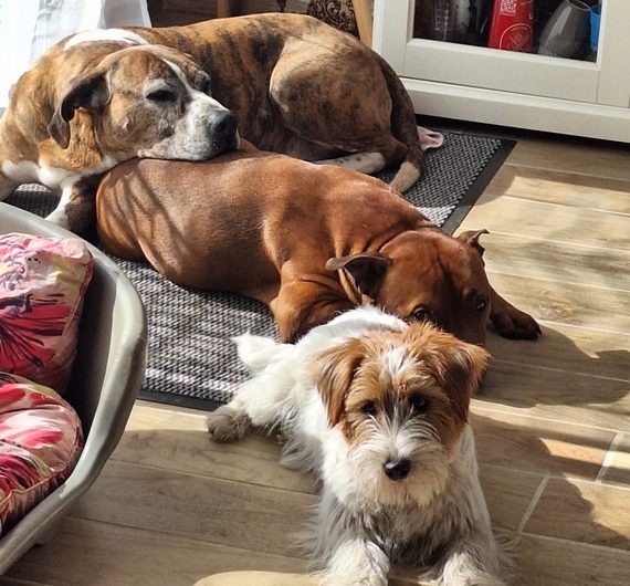 20250302_113548 (Copier)