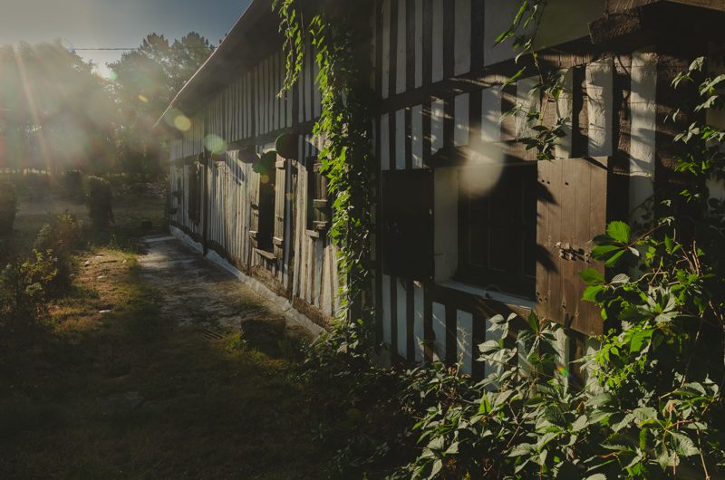 2026 – BOUR – Moulin de Pouyhéré – Extérieurs – ©Marie CHAMFEUIL (2)