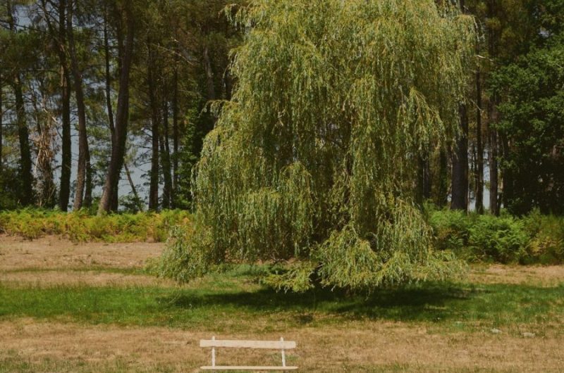 2026 – BOUR – Moulin de Pouyhéré – Terrain de pétanque – ©Marie CHAMFEUIL