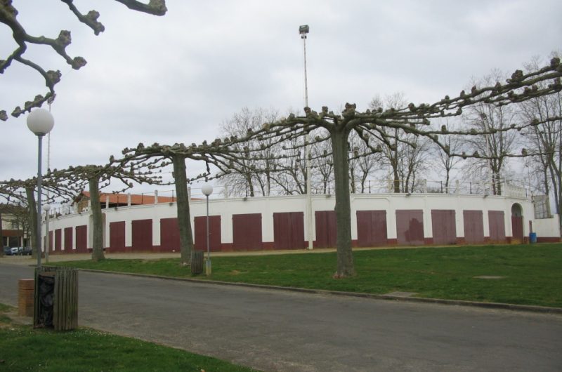 2026 – VILL – Gîte les Écureuils – Arènes – ©Alain Serres