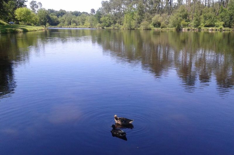 2026 – VILL – Gîte les Écureuils – Étang de Ste Foy – ©Alain Serres