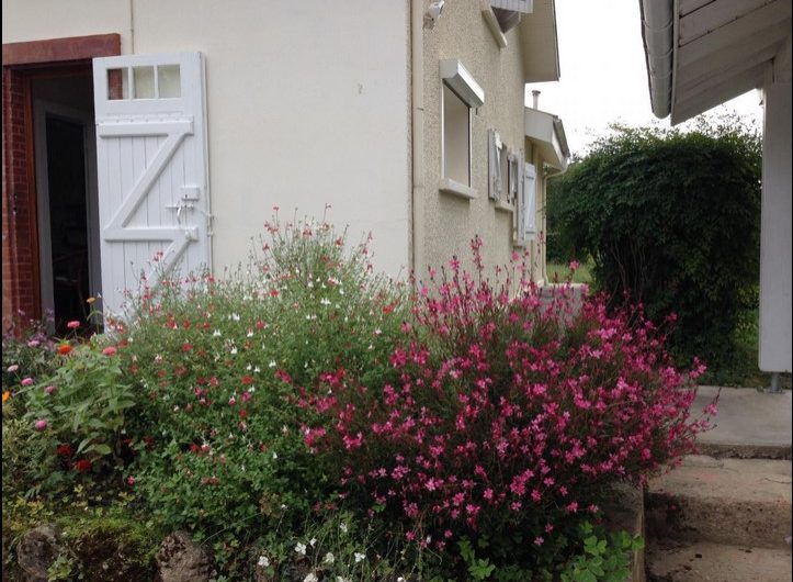 2026 – VILL – Gîte les Écureuils – Jardin – ©Alain Serres (2)