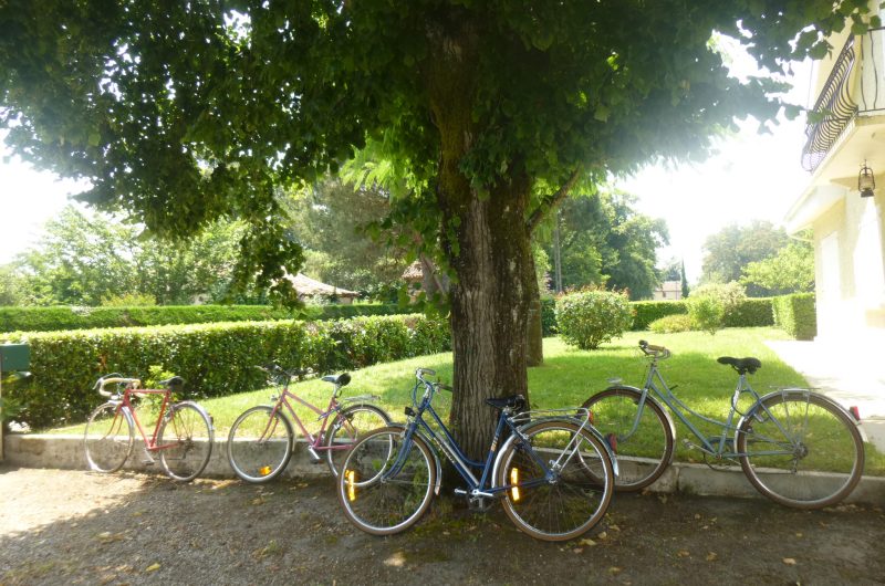 2026 – VILL – Gîte les Écureuils – Jardin – ©Alain Serres (5)