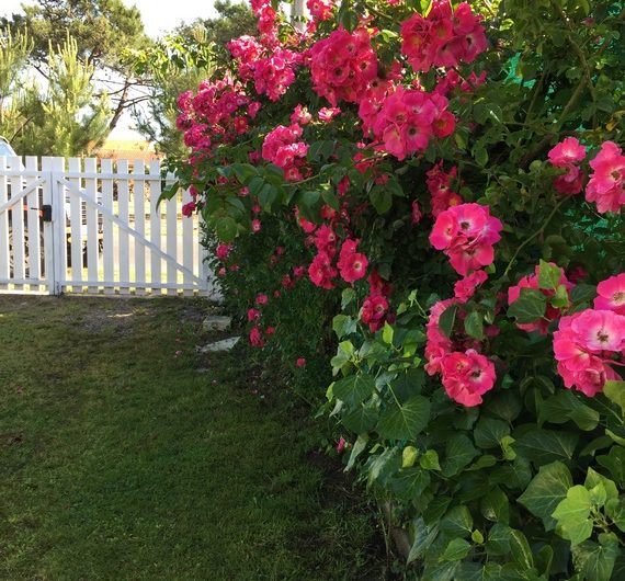 2026_larriau4 (Copier)