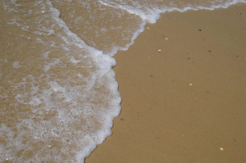 2026_larriau9 (Copier)