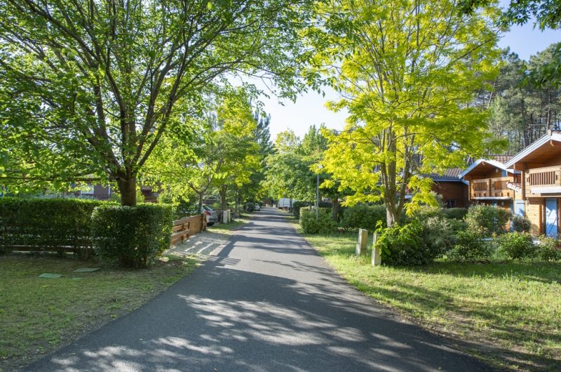 2026_nouziere_k9-1 (Copier)