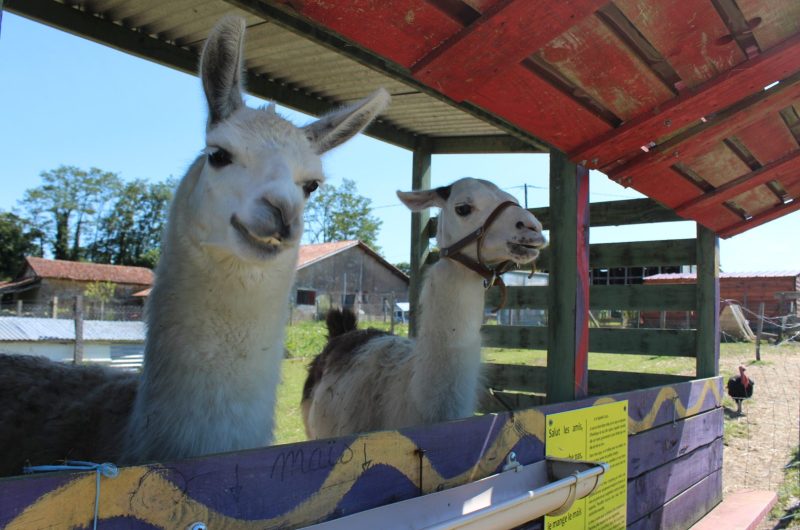 20928-14