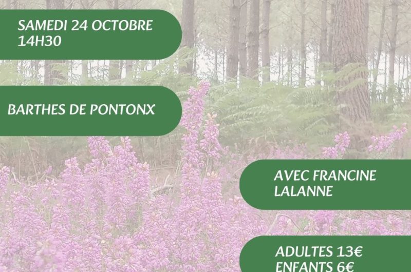 Visites, balades de l’OT – 12