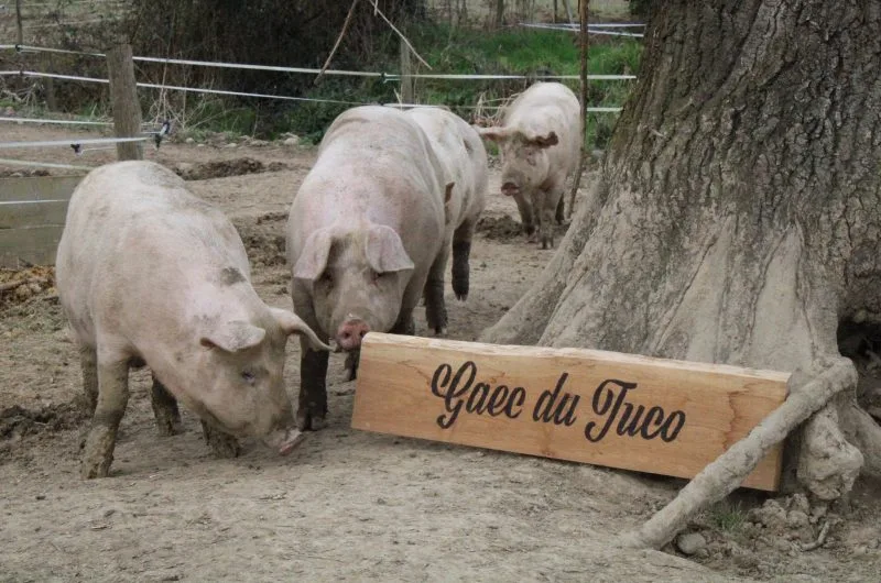 275863093_109879548324590_1240308854770141608_n