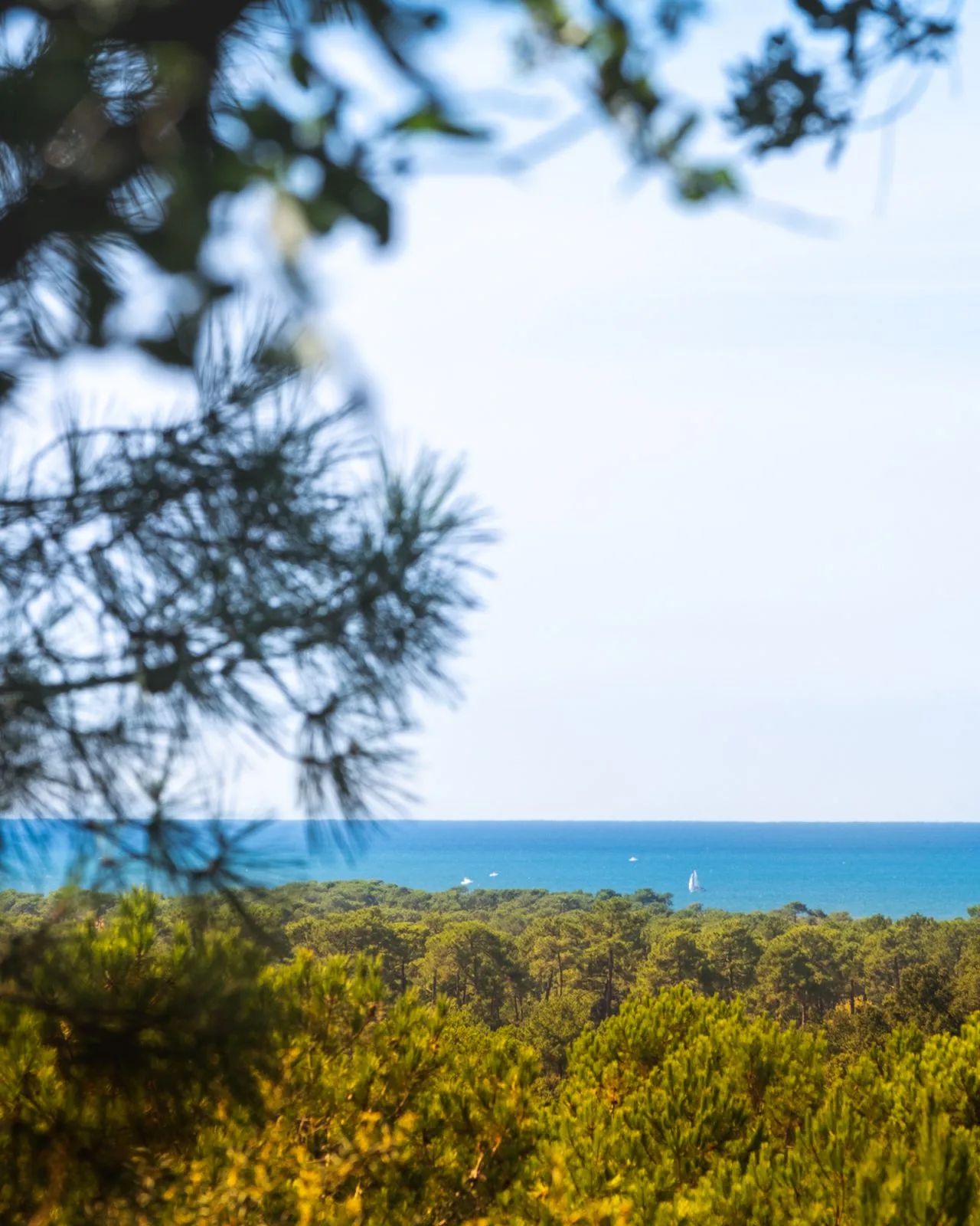 A Capbreton, circuit du Tuc des neuf églises