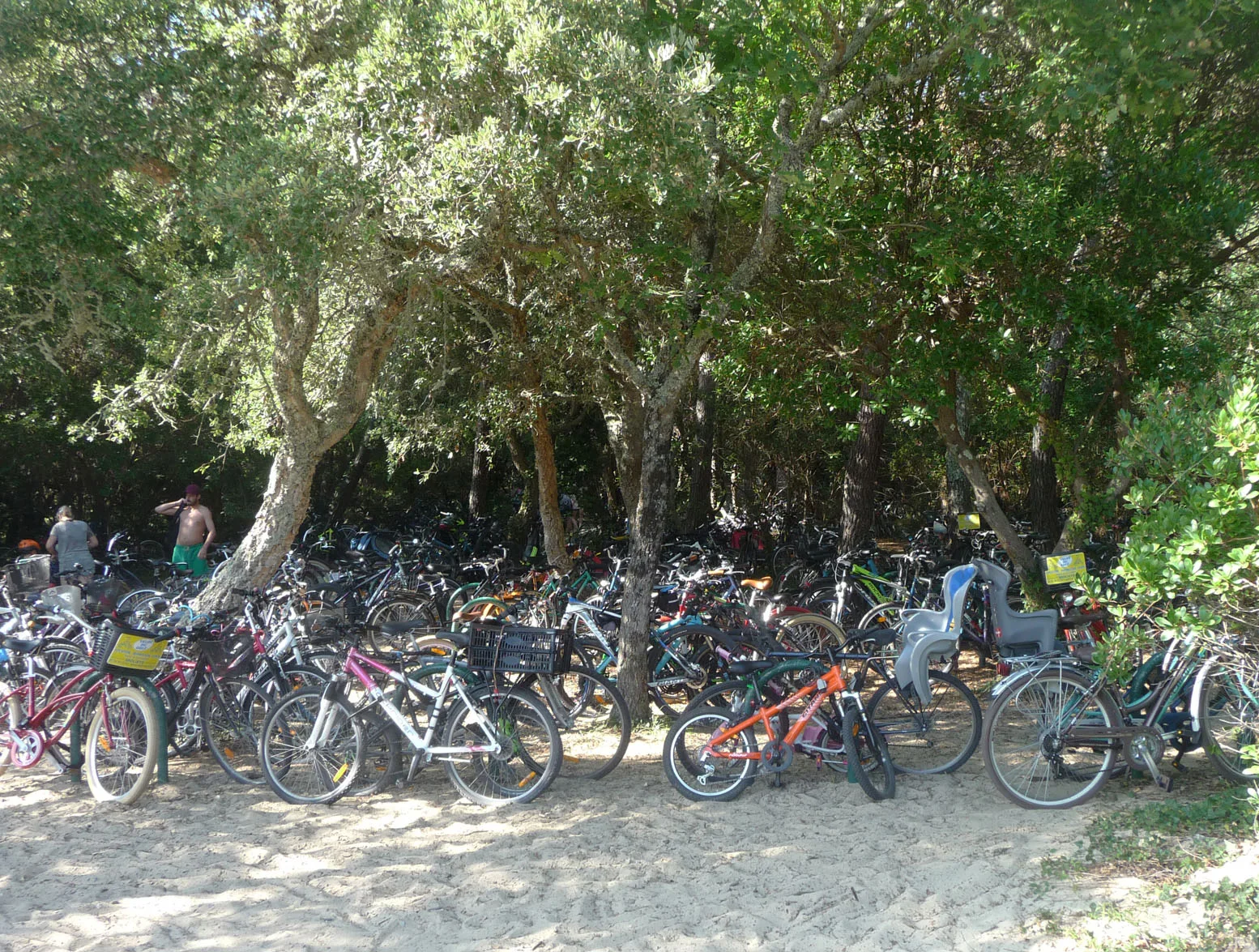 32-la–foret–des-velos-3