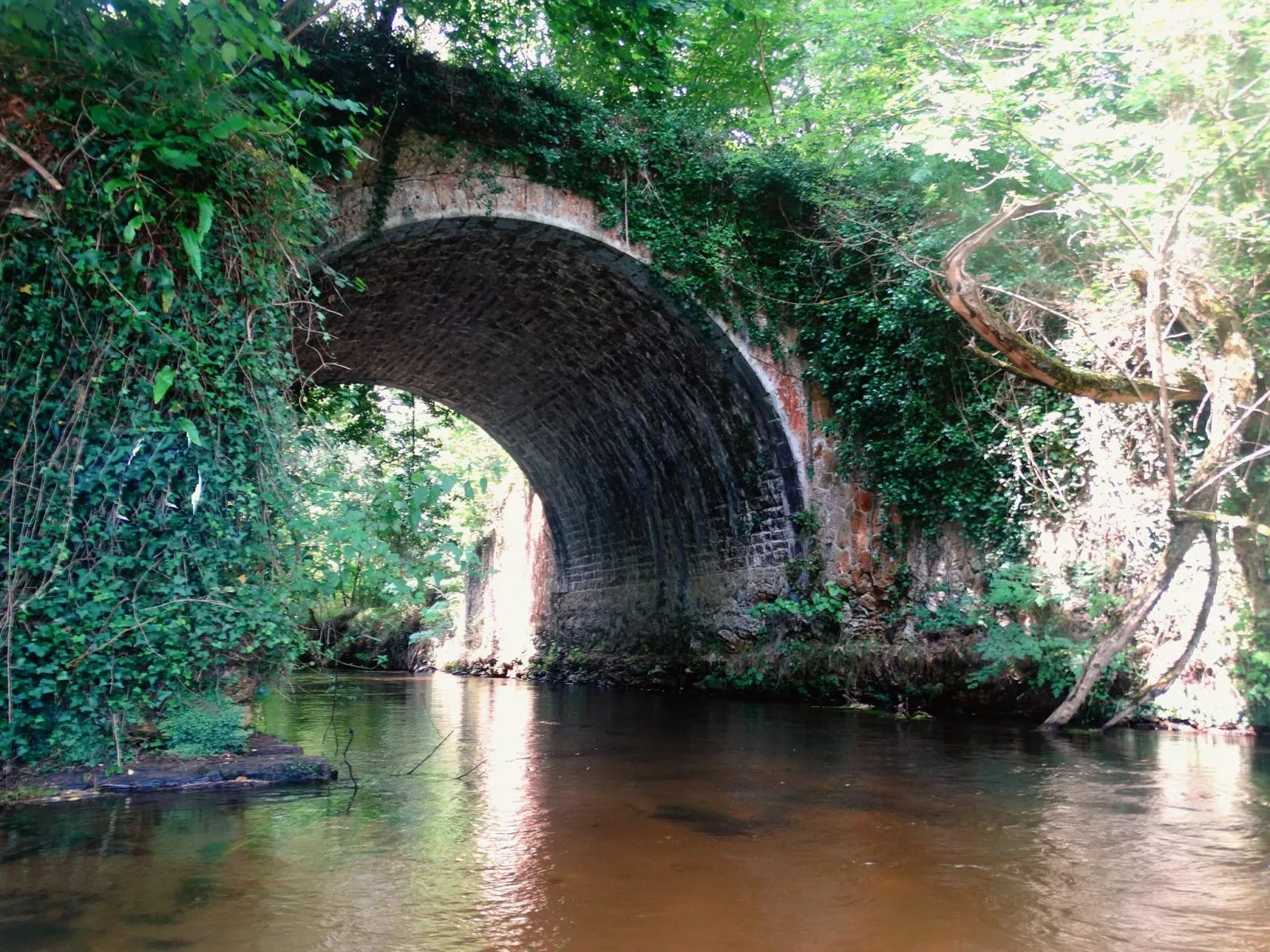 37586668-1270697279727506-7736770077730537472-o