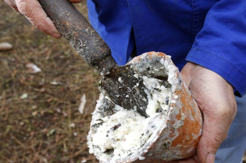 4-resiniers-bisca-foret