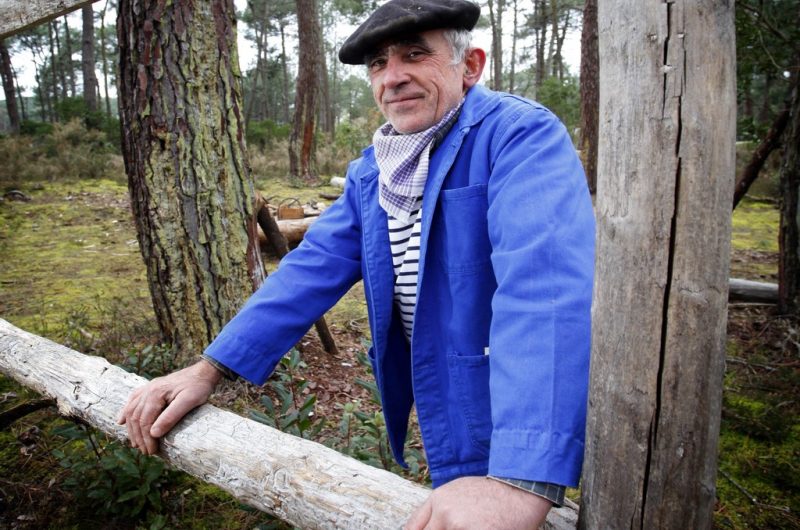 5-resiniers-bisca-foret