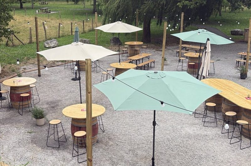 502334680_122106457460888521_411308956441178200_n