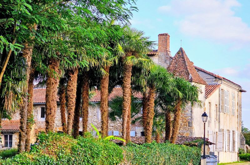 5LA PALMERAIE 2025 ©Campana