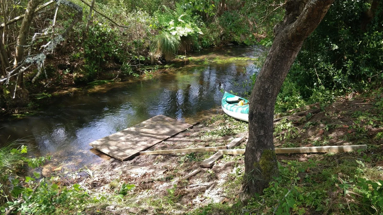 62444818-1511444335652798-7174057309583179776-o