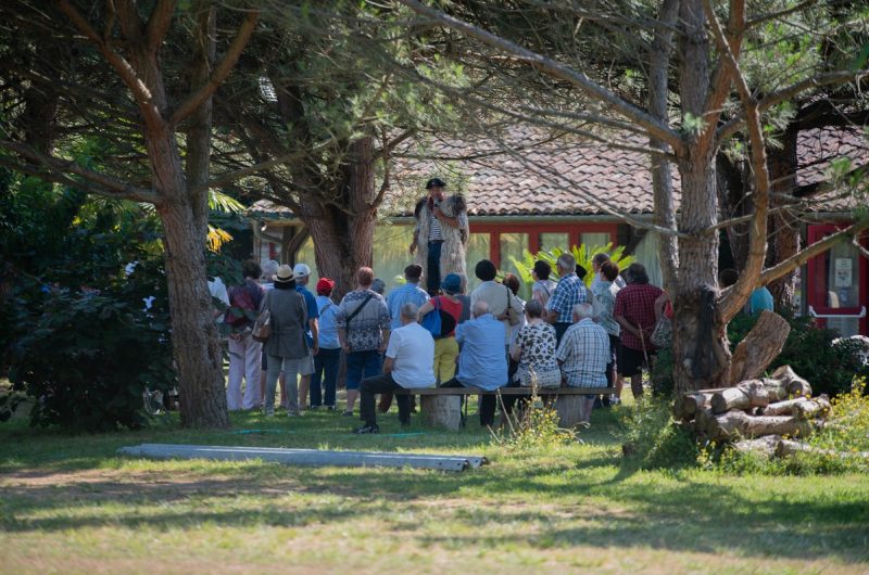 663656-ganaderia-de-buros—-lucat-lucine-30r