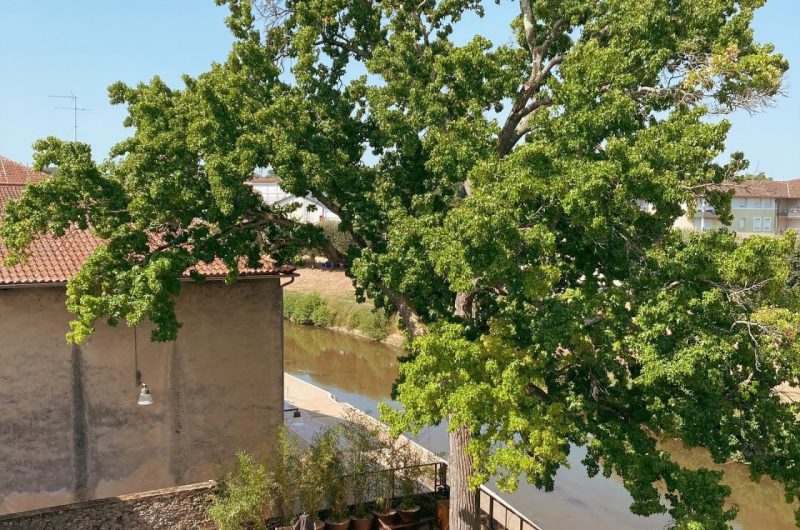 667545-ogreen-oak-terrasse-2