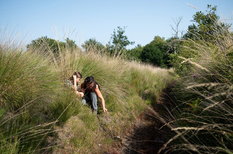 697869-graine-de-foret-14