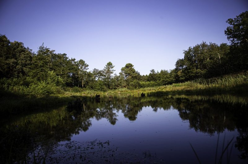 731785-centredebiodiversitejeanrostand2022-1