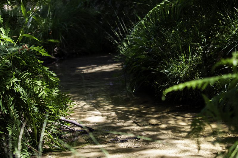 731790-centredebiodiversitejeanrostand2022-6