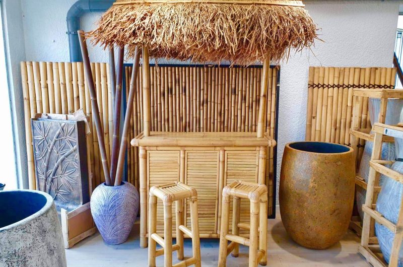 737784-295633971-453133126823196-1325169065204331091-n