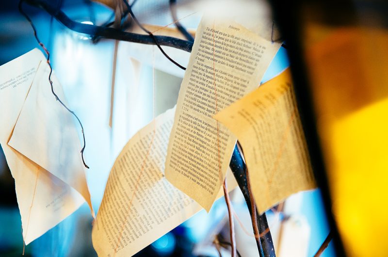 737792-commerce-mont-de-marsan-agence-les-conteurs-57-5eb505698fd946e19c690291ebfbb431