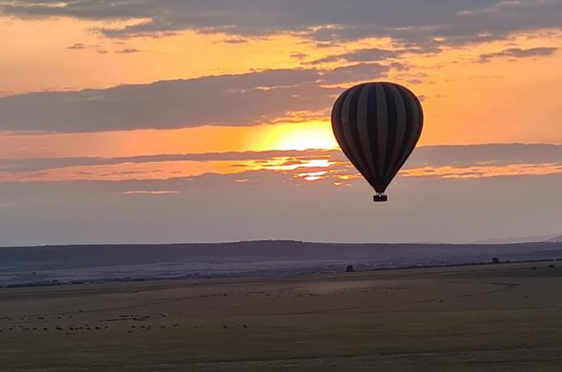 738501-233714671-580368076705178-5701179122824312023-n