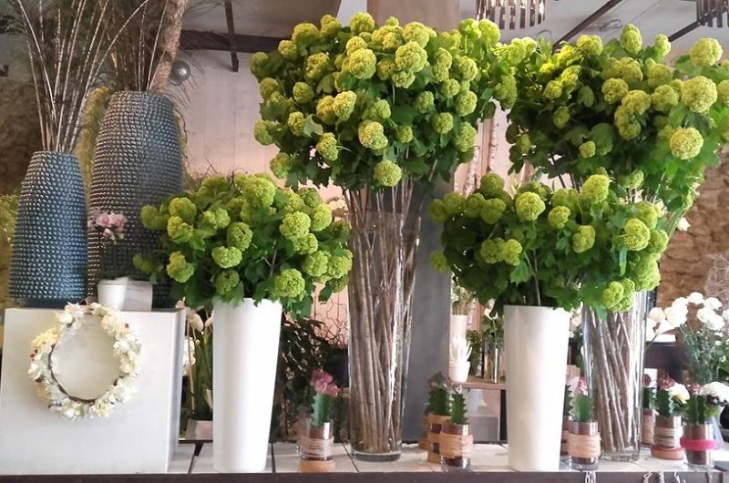 738844-12985621-1086096521449668-1945531192944117689-n